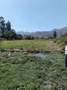 MELIPILLA SECTOR CULIPRAN (TERRENO) $660.000.000